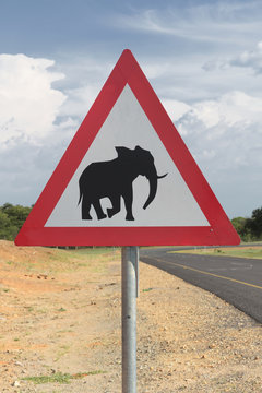 Elephant warning sign, Kasane, Chobe National Park, Botswana, Africa