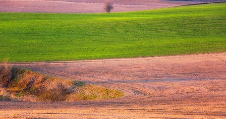 Natural landscape of agricultural fields at beginning of spring