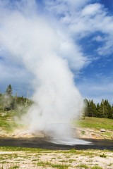 Riverside Geyser