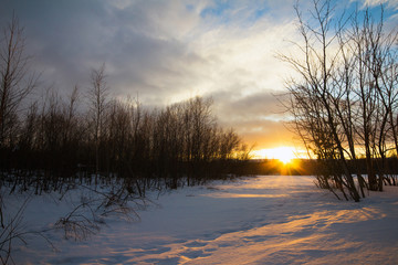 Winter sunset.Evening sun over the winter forest