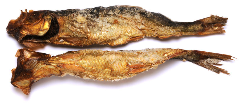 Clupea harengus  Atlantischer Hering Sleď obecn&yacute; Śledź oceaniczny Sild Arenque Atlantic herring Aringa affumicata Haring soort Sill  Silli Атлантическая сельдь Bloater Smoked herring 大西洋鯡 