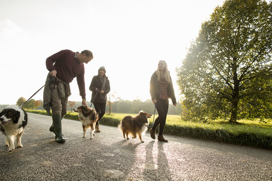 Senior couple and granddaughter with dogs, Norfolk, UK