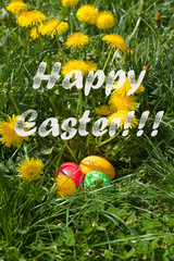Easter eggs in the green grass