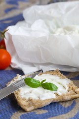A piece of bread with stracchino cheese. Closeup