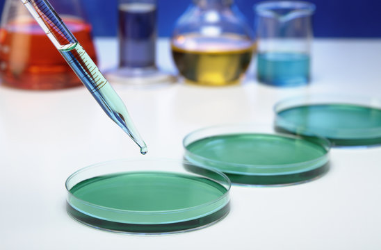 Pipetting: A pipette is used to transfer a small amount of liquid to a Petri dish