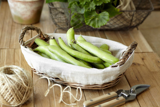 Basket of broad beans