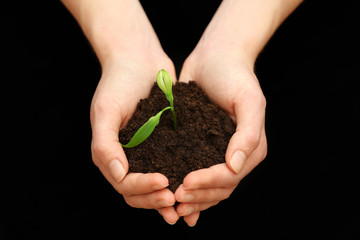 Female hands holding soil and plant on black background