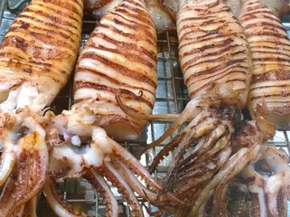  The Grilled squid in a market