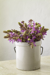 Wild-Purple.Flowers-In-Stoneware-Jar