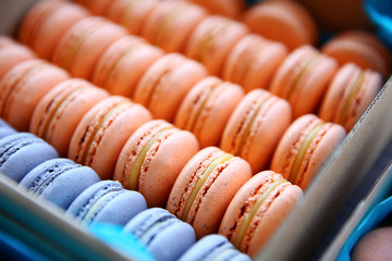 Varicolored tasty macaroons in a box, close up