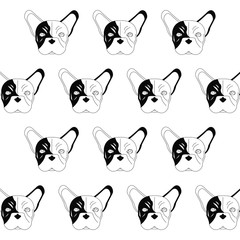 Fototapeta premium French bulldog design , vector illustration