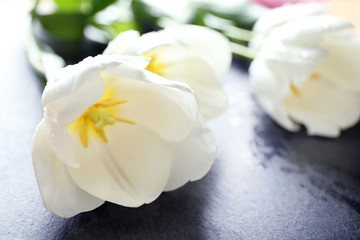 Fototapeta na wymiar Bouquet of white tulips on wet black background, close up