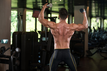Portrait Of A Physically Fit Man With Dumbbells