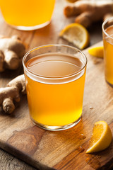 Homemade Fermented Raw Kombucha Tea