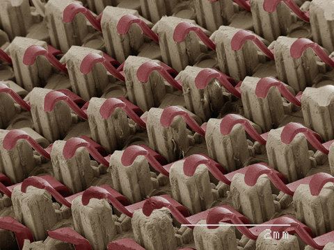 Coloured SEM of computer chip