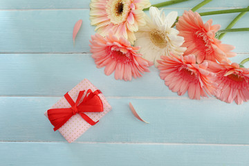 Bouquet of pink and white gerberas with gift box  on blue wooden background