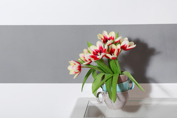 Bouquet of variegated tulips near striped wall
