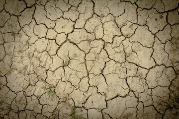 dry and crack soil ground