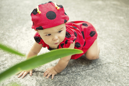 Baby girl wearing ladybird outfit