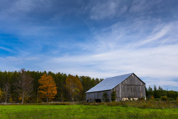 Obraz premium old wooden barn landscape