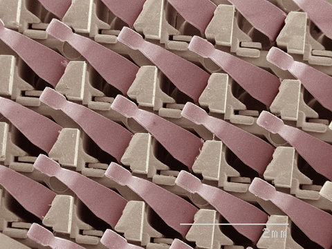 Coloured SEM of computer chip