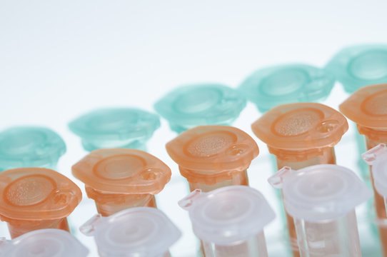 Still life of color coded microcentrifuge tubes