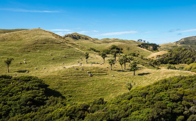Fototapeta premium Mountain landscape in New Zealand