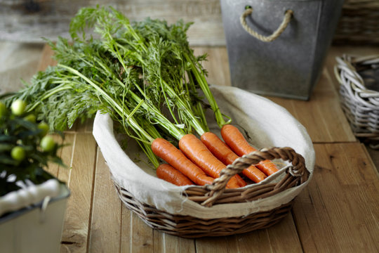 Fresh carrots in basket