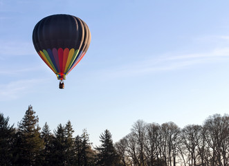Fototapeta premium Colorful Hot Air Balloon Over Trees