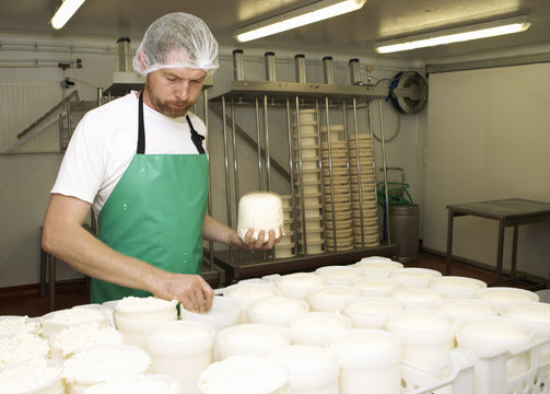 Cheesemaker holding moulded curds at farm factory
