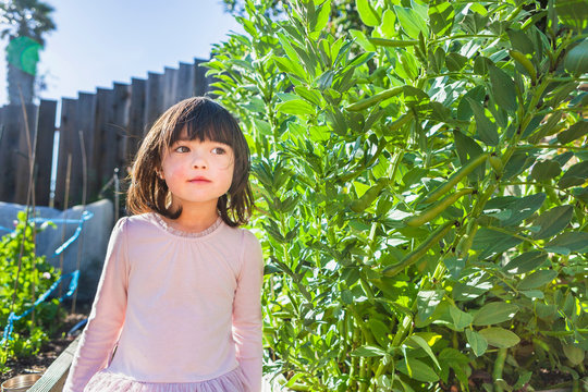 Girl in fava bean garden