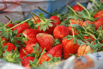Fresh strawberry