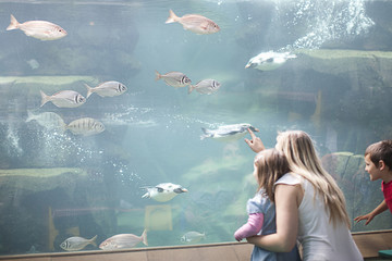 Young mother and two children watching penguins diving in aquarium