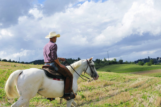 Young man in cowboy gear horse riding in field