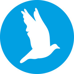 Dove for peace concept and wedding design. Flying dove white silhouette on a blue background.