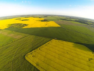 Fotobehang Luchtfoto Areal view of blooming raps field