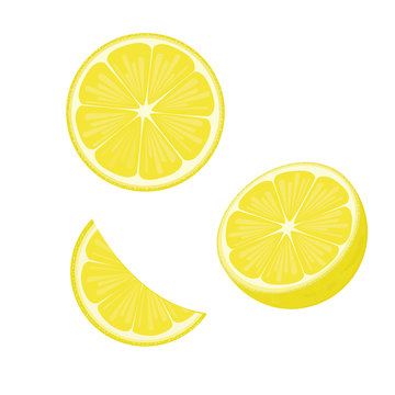 illustration lemon fruits on white ,vector