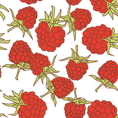ripe raspberry seamless pettern  isolated on white background.