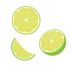 illustration. lime