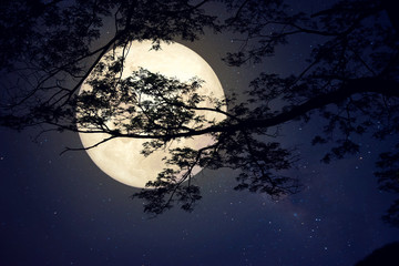 Étoile de la Voie lactée dans le ciel nocturne, la pleine lune et le vieil arbre - Œuvre d& 39 art de style rétro avec une tonalité de couleur vintage (Éléments de cette image lunaire fournis par la NASA)