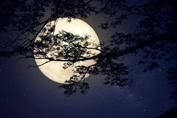 Photo sur Aluminium Pleine lune Étoile de la Voie lactée dans le ciel nocturne, la pleine lune et le vieil arbre - Œuvre d& 39 art de style rétro avec une tonalité de couleur vintage (Éléments de cette image lunaire fournis par la NASA)