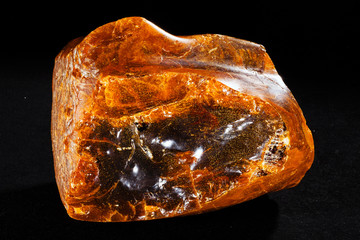 Baltic amber
