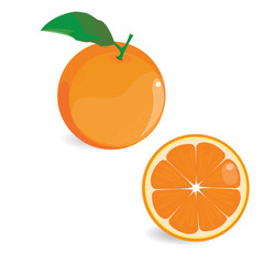 Illustration vector set of orange.