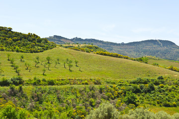 Obraz premium Landscape