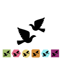 Wedding pigeon icon