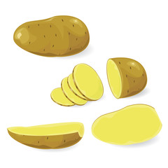 illustration potato 