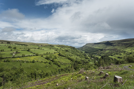 View of tree stumps and fields, Glenariff, County Antrim, Northern Ireland, UK
