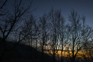Fototapeta premium Tramonto nella foresta