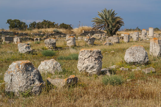 Ruins of the basilica in the ancient city of Salamis, North Cypr