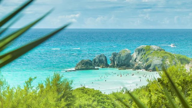 Viewing Bermuda's Horseshoe Bay Through Native Flora Among Lush Greenery with People Swimming in Tropical Colored Water on a Beautiful Sunny Day in the Atlantic Islands